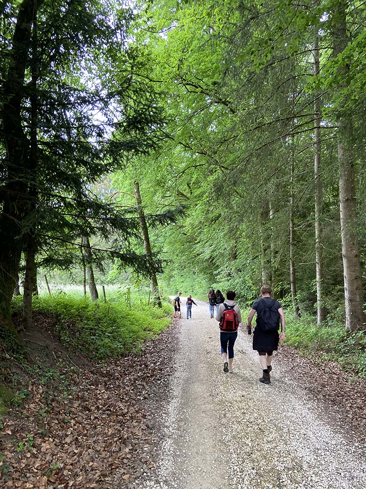 Vergrößern